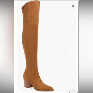 Cathi Pointed Toe Suede Over the Knee Boot